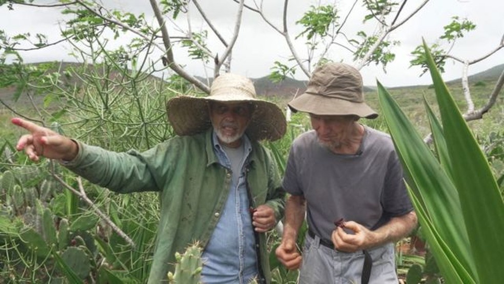 Nelson Araújo Filho (à esq.) mostra sua agrofloresta ao suíço Ernst Gotsch, um dos principais difusores dos sistemas agroflorestais no Brasil — Foto: BBC
