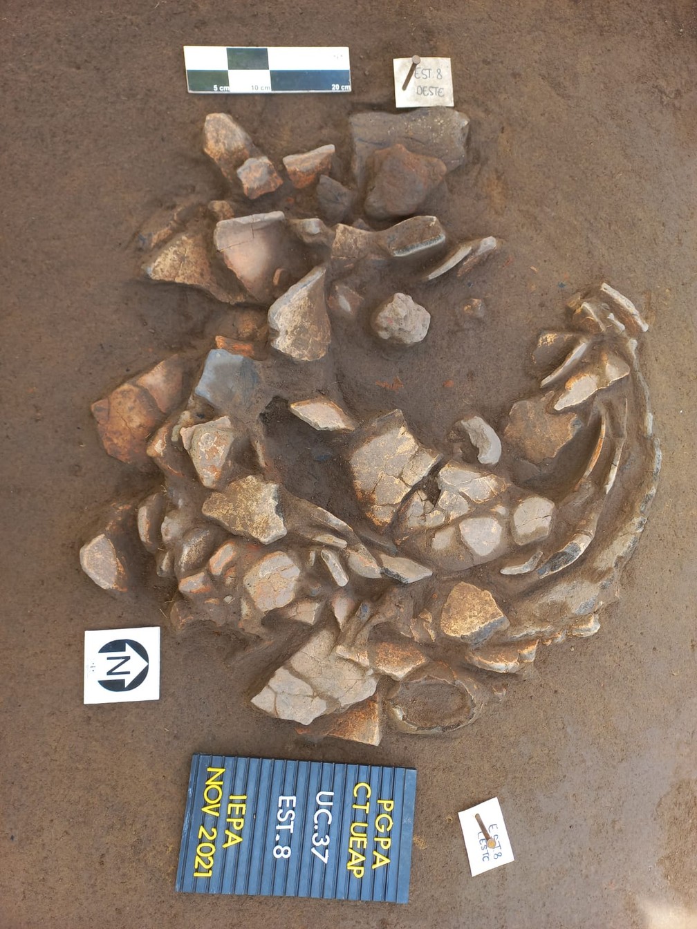 Materiais encontrados em sítio arqueológico em Macapá — Foto: Iepa/Divulgação
