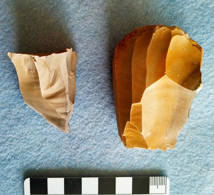 Artefatos encontrados no sítio arqueológico Maloe Okulovo-11 (Foto: Instituto de Arqueologia da Academia Russa de Ciências)