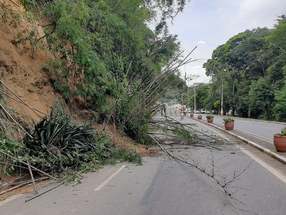 Deslizamento de terra causa interdição na Rodovia SP-095, em Pedreira — Foto: Helen Sacconi/EPTV