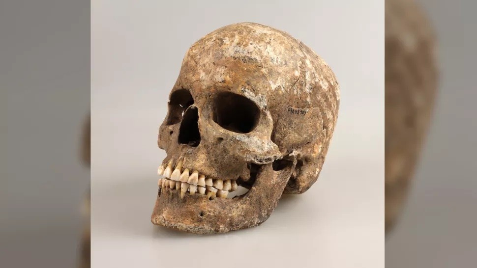 Crânio de mulher da Idade do Bronze descoberto na República Tcheca (Foto: MZM)