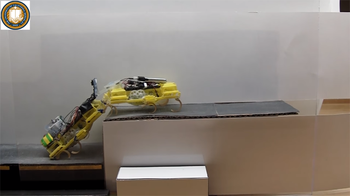 Robôs conseguem se ajudar para escalar obstáculos de até 6,5 cm de altura (Foto: Reprodução/YouTube)