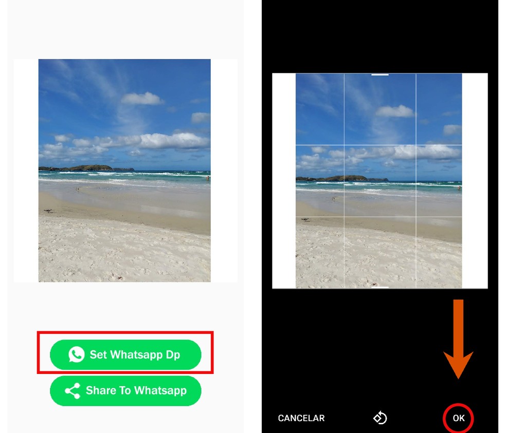 Ao finalizar a edição, é possível compartilhar a foto direto do app WhatsCrop ao perfil do WhatsApp — Foto: Reprodução/Paola Mansur