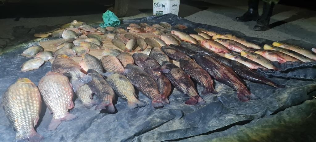Homem é preso com mais de 50 kg de pescado irregular