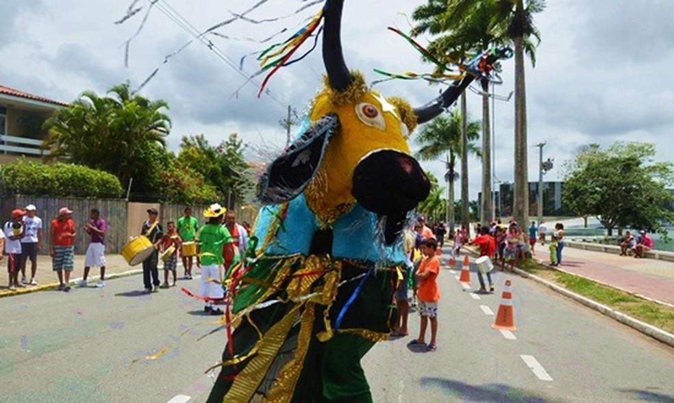 Carnaval Tradição de Campina Grande tem desfiles de escolas de samba, bois, ala ursas e tribos — Foto: Secretaria de Desenvolvimento de Campina Grande/Divulgação