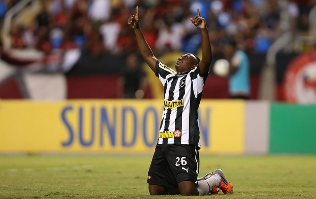 Sasa gol Botafogo x Flamengo (Foto: Satiro Sodré / Ag. Estado)