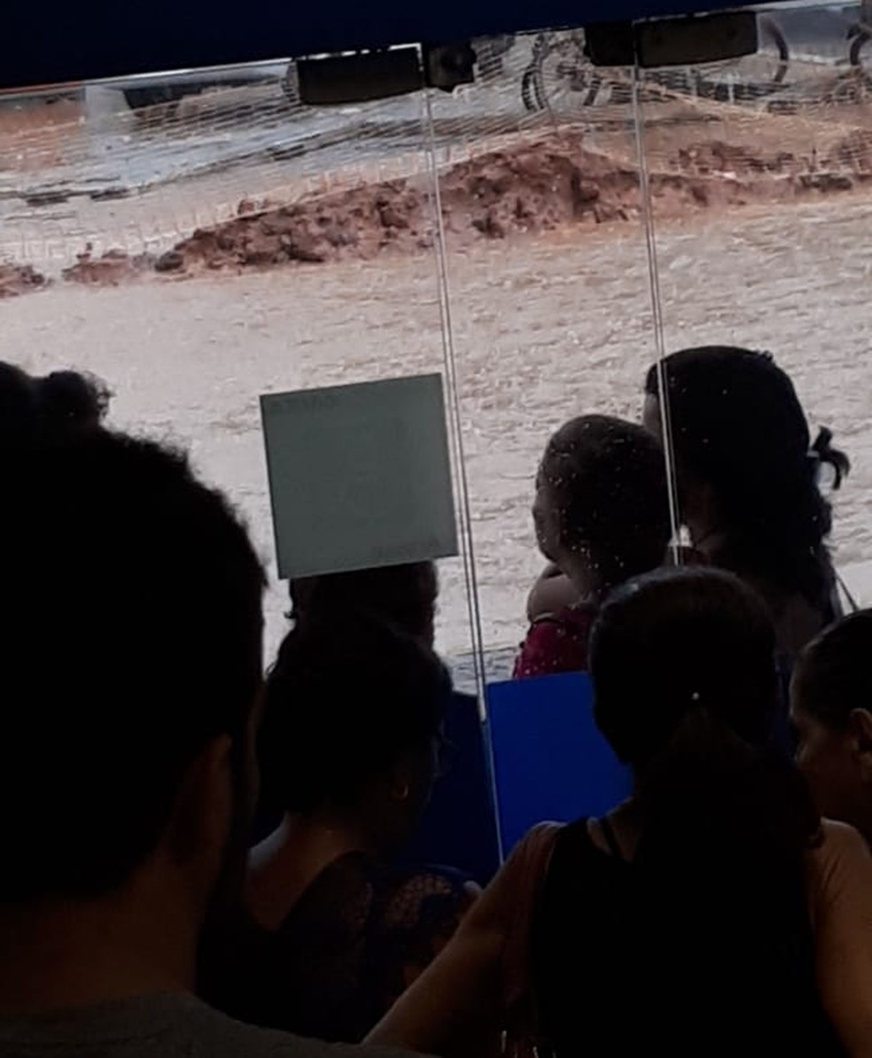 Ruas ficam alagadas durante temporal em Itaperuna, no RJ â Foto: Daniela Carvalho/arquivo pessoal