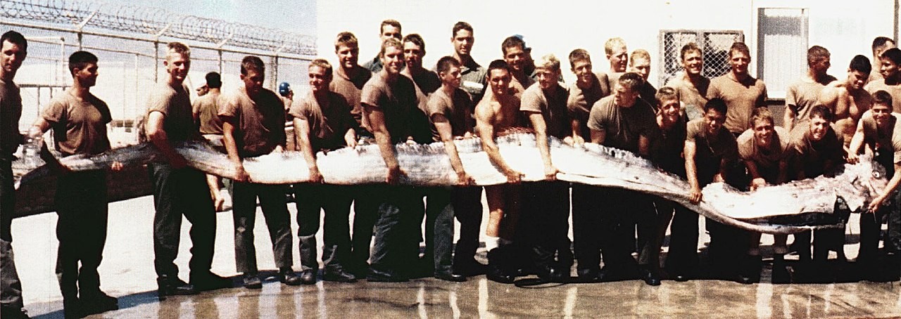 Marinha estadunidense segurando um peixe-remo gigante (7 metros) encontrado em costa próxima a San Diego, California, em setembro de 1996 (Foto: Wikipedia/ Wm. Leo Smith/ Wikimedia Commons)