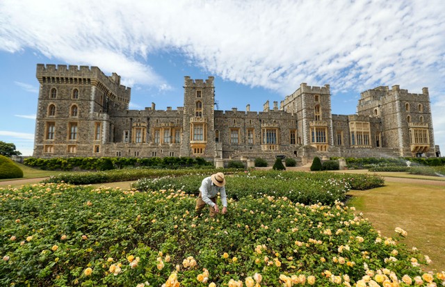 Final preparations are made ahead of Windsor Castle's East Terrace Garden opening to the public for the first time in decades from Saturday. (Photo by Steve Parsons/PA Images via Getty Images) (Foto: PA Images via Getty Images)