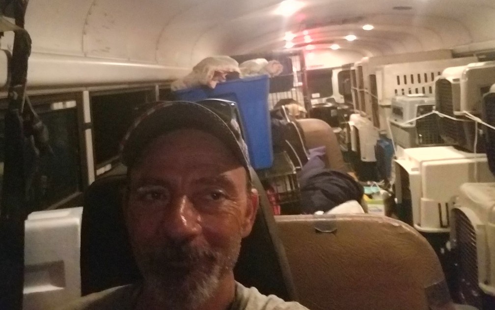 Tony Alsup ao volante de seu ônibus, na Carolina do Sul, quando foi transportar animais ameaçados pelo furacão Florence — Foto: Reprodução/Facebook/Tony Alsup 