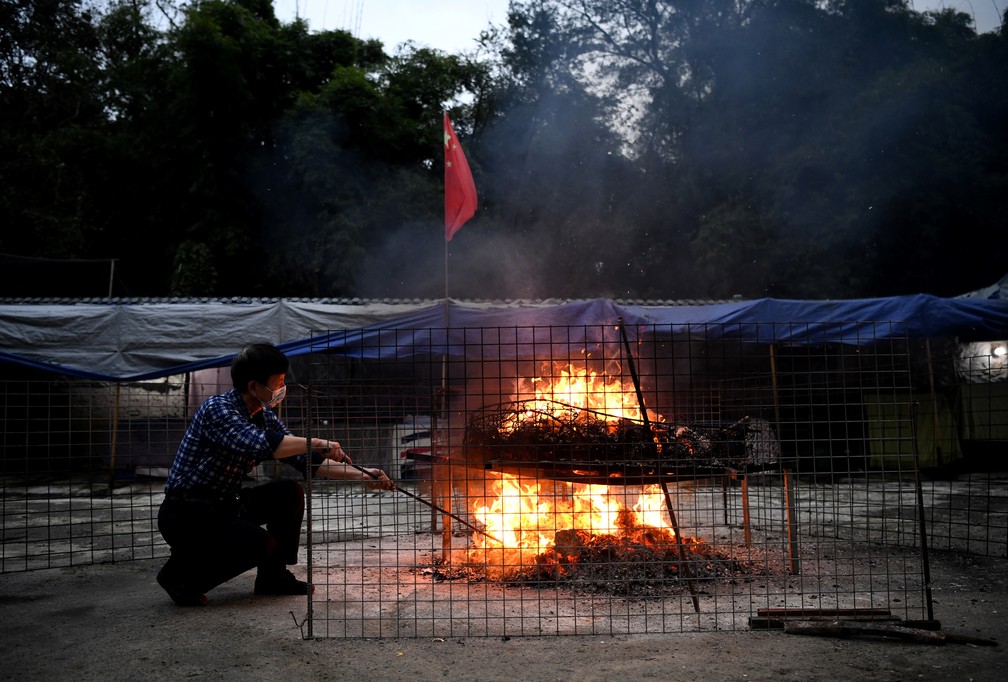 Meia tonelada de alimentos é preparada todos os dias em um abrigo para animais abandonados na China — Foto: Noel Celis/AFP