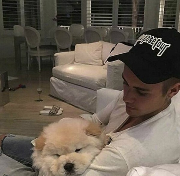 O cantor Justin Bieber com o cãozinho Todd (Foto: Instagram)