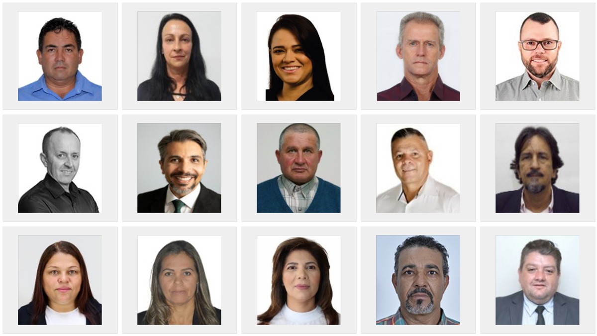 Vereadora e 14 suplentes estão entre presos por atos golpistas em Brasília