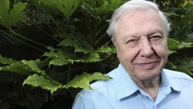 Com 92 anos, David Attenborough é o participante mais velho deste ano (Foto: Getty Images via BBC News Brasil)