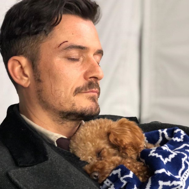 Orlando Bloom e o cãozinho Mighty (Foto: Reprodução / Instagram)