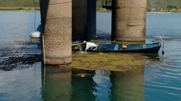 Pescadores da região foram chamados para retirar plantas do rio (Foto: COMPANHIA DE SANEAMENTO DE ALAGOAS, via BBC News Brasil)