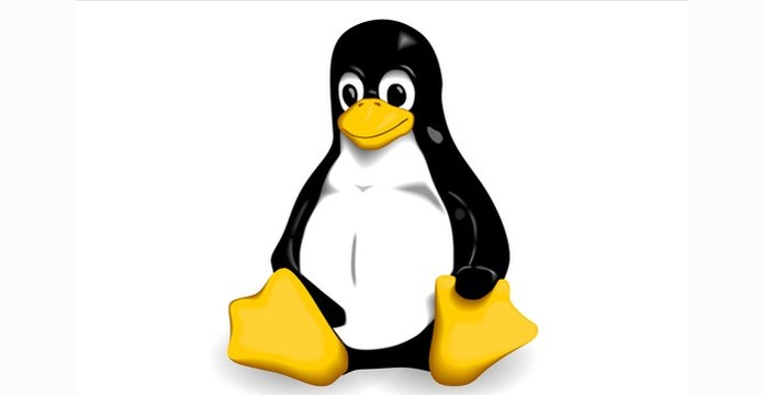 Sistema operacional possui vários pacotes de software para usuários diferentes (Foto: Reprodução/Linux) (Foto: Sistema operacional possui vários pacotes de software para usuários diferentes (Foto: Reprodução/Linux)) Sistema operacional possui vários pacotes de software para usuários diferentes (Foto: Reprodução/Linux) (Foto: Sistema operacional possui vários pacotes de software para usuários diferentes (Foto: Reprodução/Linux))