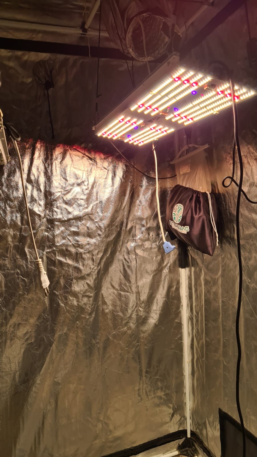 Ação contra tráfico de drogas — Foto: Polícia Civiil/Divulgação