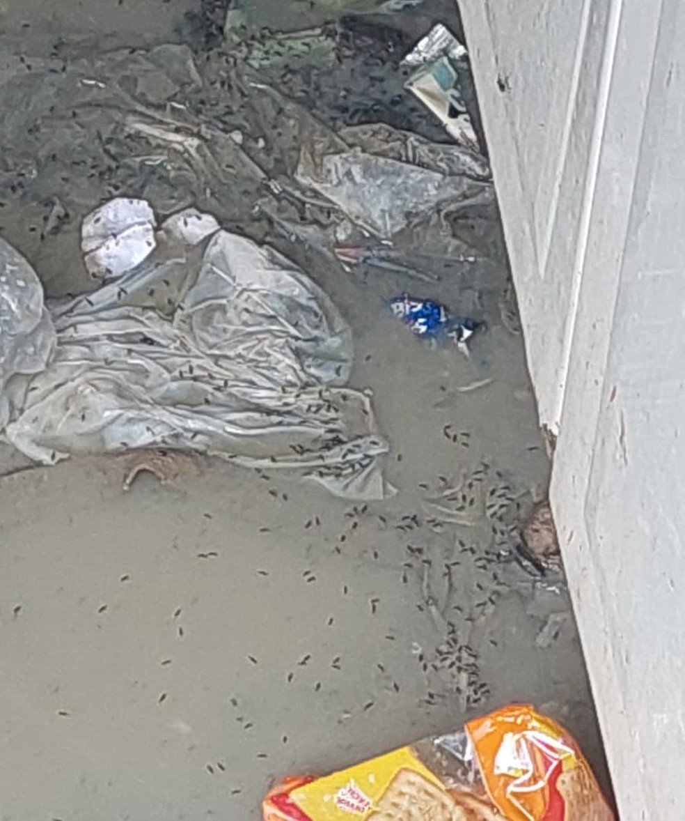 Casa em que crianças viviam tinha lixo no chão e insetos — Foto: Reprodução