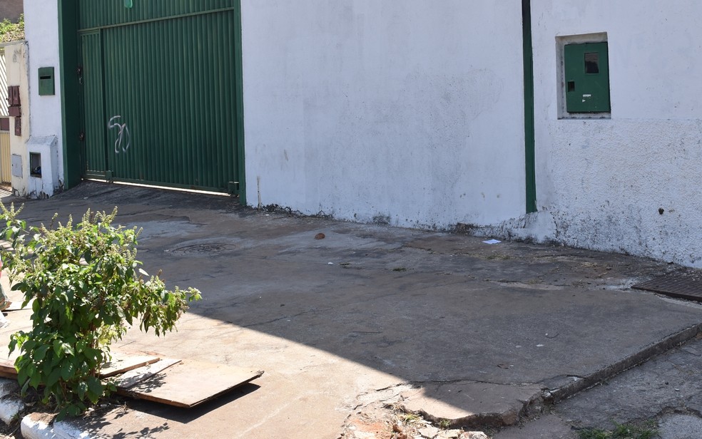Mutios moradores não têm coragem de consumir plantas que crescem em locais onde houve contaminação (Foto: Paula Resende/ G1)