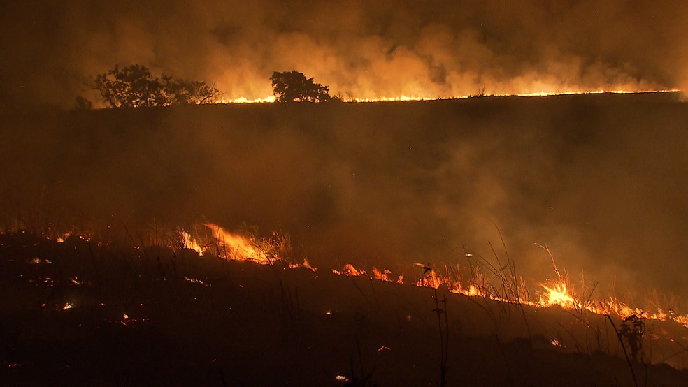 Incêndio no Parque Nacional de Brasília — Foto: Joelson Maia/ TV Globo