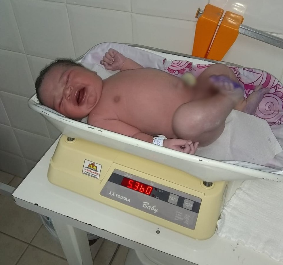 Mae Do Bebe Que Nasceu Com Mais De 5 Quilos Diz Que Substituiu Todo Enxoval Ja Esta Usando Tamanho M Bauru E Marilia G1