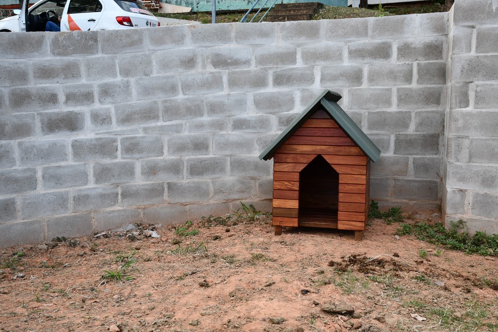 Abrigos para animais foram confeccionados com madeira ilegal apreendida na região de Prudente — Foto: Cedida