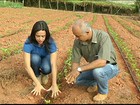 Em MG, manejo sustentável garante fartura de colheita em época de seca