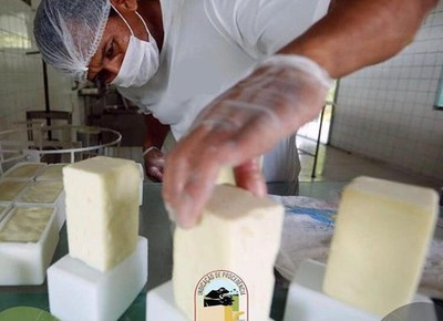 No paladar, o queijo é mais cremoso com uma leve acidez e um final adocicado (Foto: Divulgação)