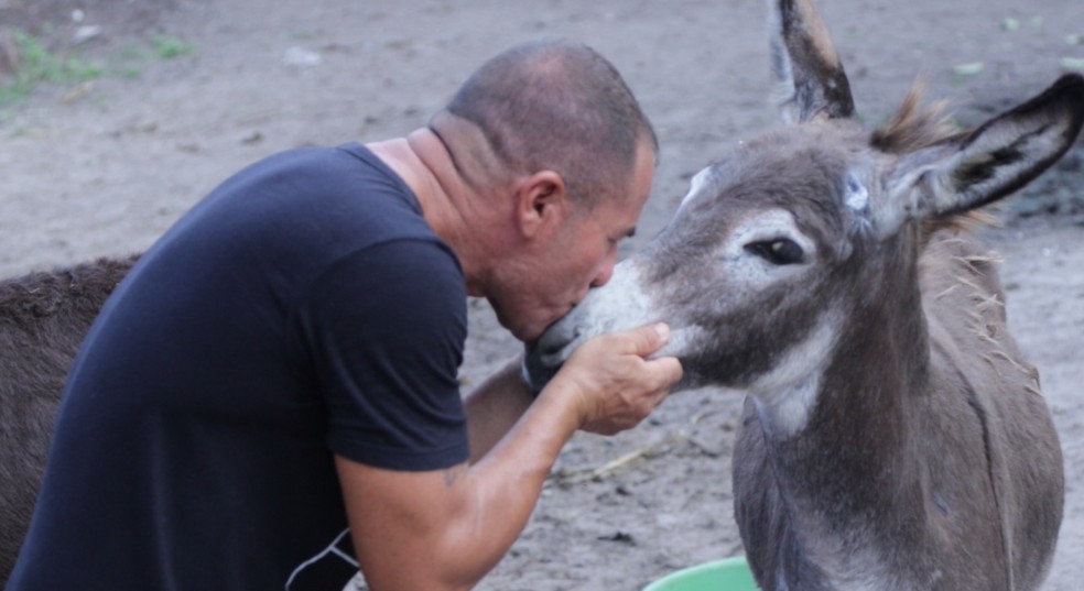 Professor resgata jumentos vítimas de maus-tratos em São Luís; mais de dez animais já foram retirados do abandono — Foto: Adriano Soares / Grupo Mirante