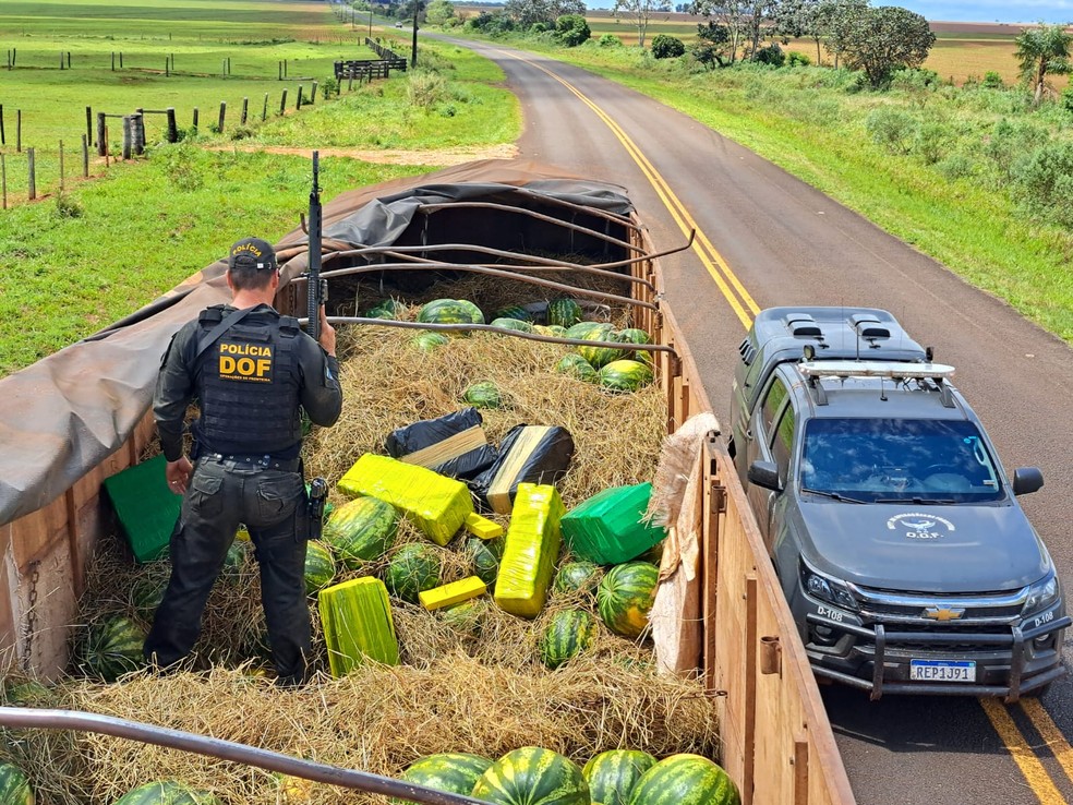 Polícia estima que esta apreensão tenha causado prejuízo de R$ 1,4 milhão ao crime organizado — Foto: Divulgação/ DOF