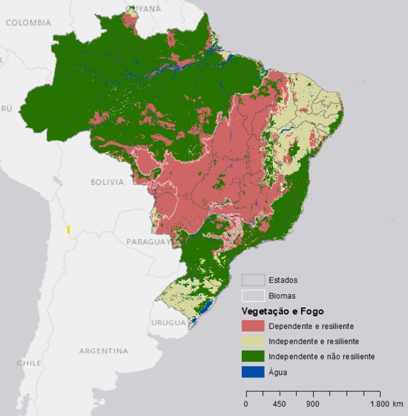 Classificação de resposta ao fogo da vegetação brasileira baseada na sensibilidade e capacidade de resiliência da vegetação predominante. Adaptado a partir de Hardesty et al. (2005). (Foto: TNC Brasil)