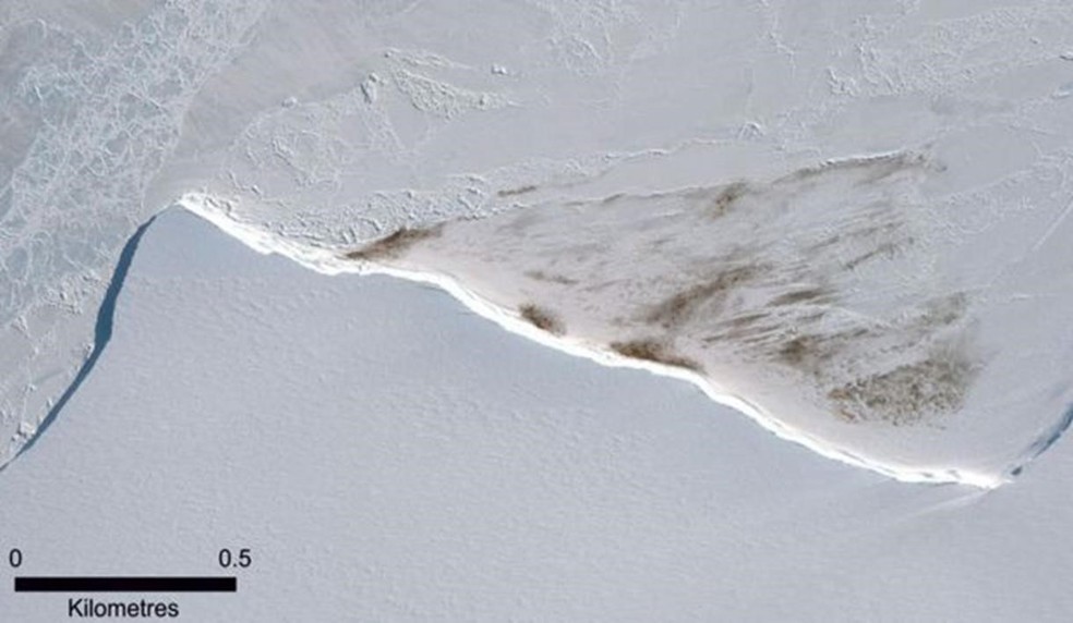 Nessa imagem de satélite de 2015, é possível ver a mancha de guano da colônia Halley Bay — Foto: DIGITALGLOBE, A MAXAR COMPANY