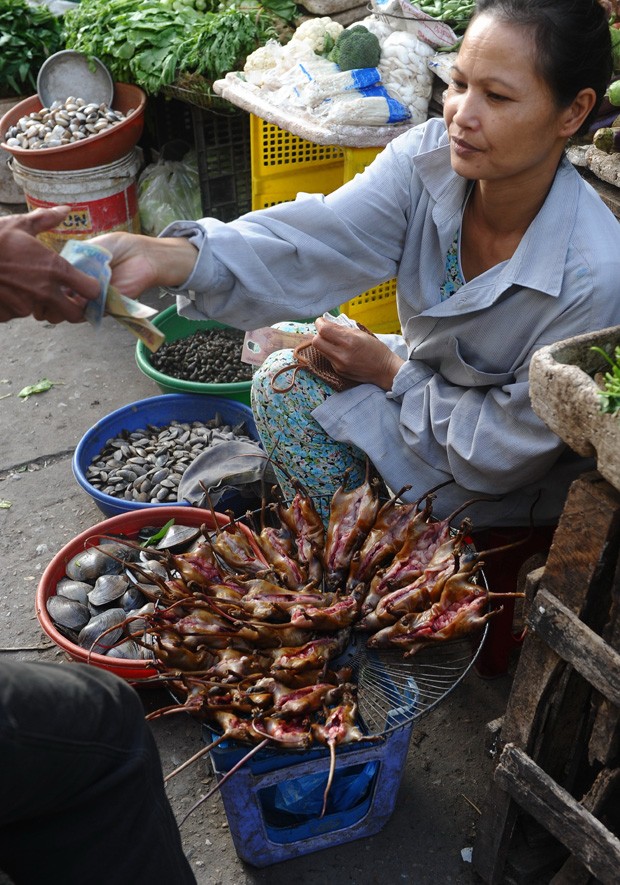 G1 - Agricultores matam rato de 1 metro que aterrorizava cidade chinesa -  notícias em Planeta Bizarro