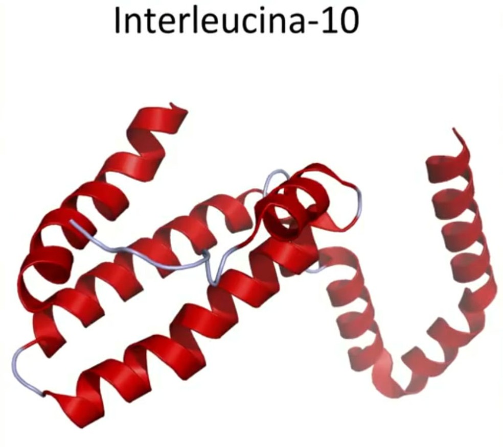 Interleucina-10 é produzida pelo corpo e pode estimular o tecido adiposo marrom a queimar mais gordura — Foto: Reprodução/EPTV