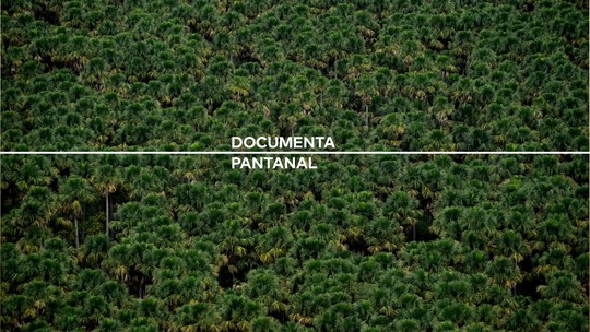 Foto: (Documenta Pantanal/Divulgação)