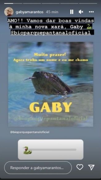 Gaby Amarantos dá boas-vindas à sucuri 'xará' que vive em maior aquário de água doce do mundo 