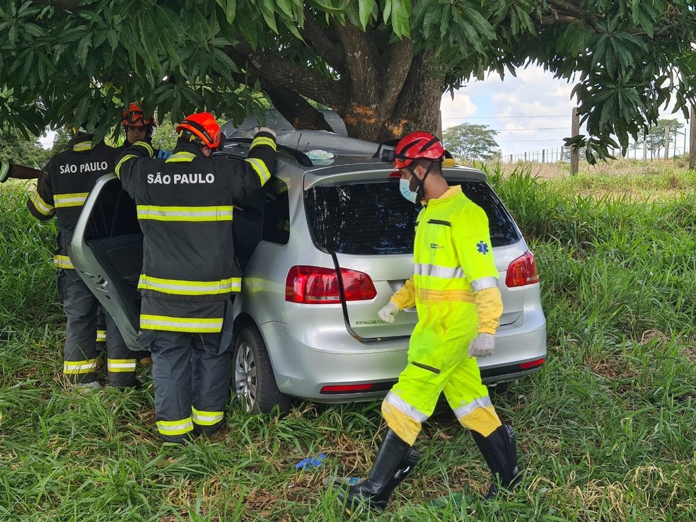 Casal morre e criança de 9 anos se fere após carro bater em árvore às margens de rodovia — Foto: Arquivo pessoal