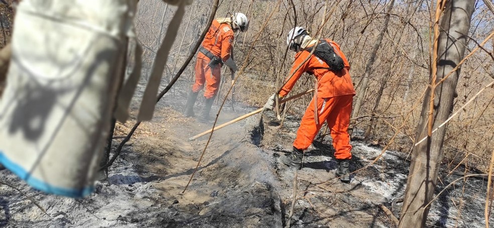Bombeiros e voluntários trabalham no combate ao incêndio que atinge o município de Barra, na Bahia — Foto: Corpo de Bombeiros/ Divulgação