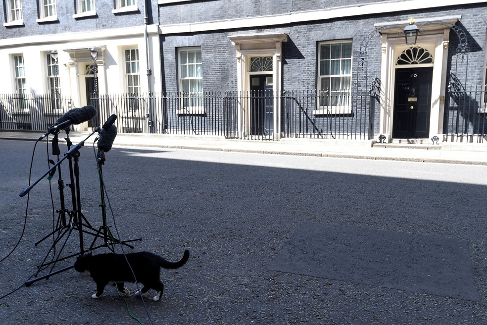 O nº10 de Downing Street, sede do governo britânico e residência do primeiro-ministro (Foto: Reuters)