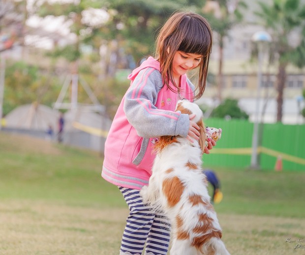 Criança brincando com cachorro, animal de estimação (Foto: Kai-Chieh Chan/Pexels)