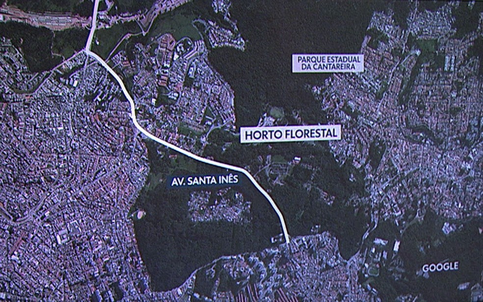 Horto Florestal  (Foto: TV Globo/Reprodução)