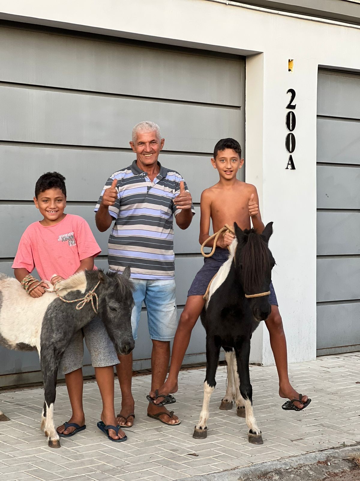 Desaparecidos há mais de 20 dias, pôneis reencontram dono na Grande BH: 'Agora é só alegria'