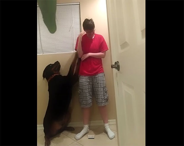 O cachorro foi treinado para ajudar a dona nas crises de Asperger (Foto: Reprodução/YouTube)