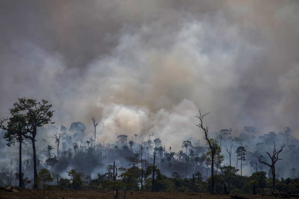 Bolsonaro anuncia criação de Conselho da Amazônia e de Força Nacional Ambiental thumbnail