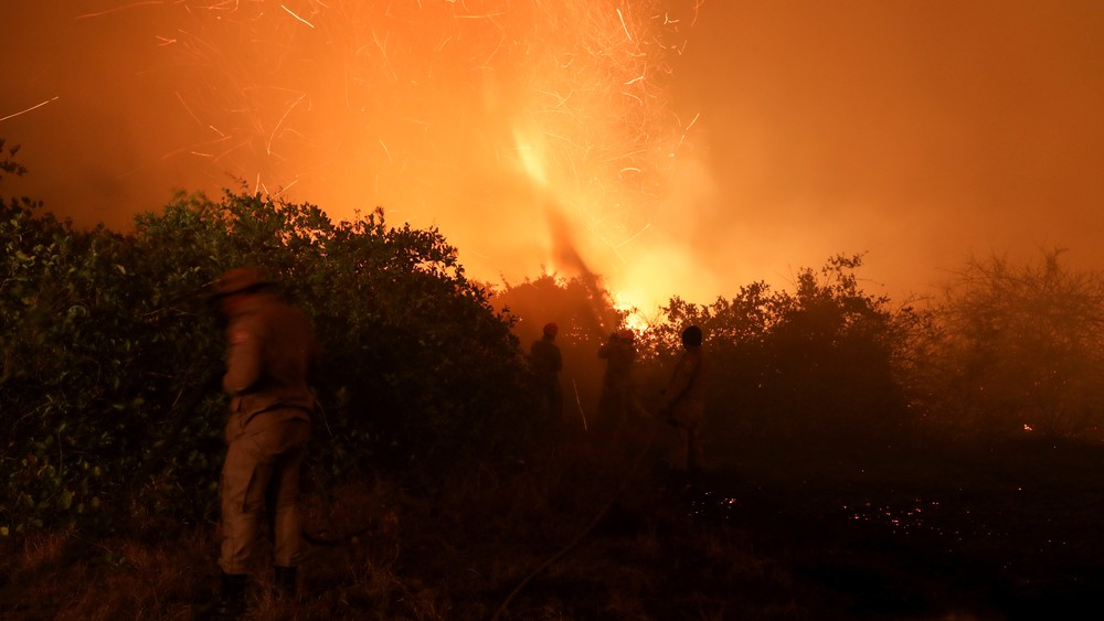 Bombeiros combatem incêndio no Pantanal, em Pocone (MT).