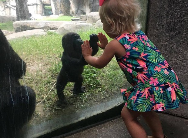 Menina e gorila interagem em zoológico do Texas (Foto: Reprodução/ Facebook)