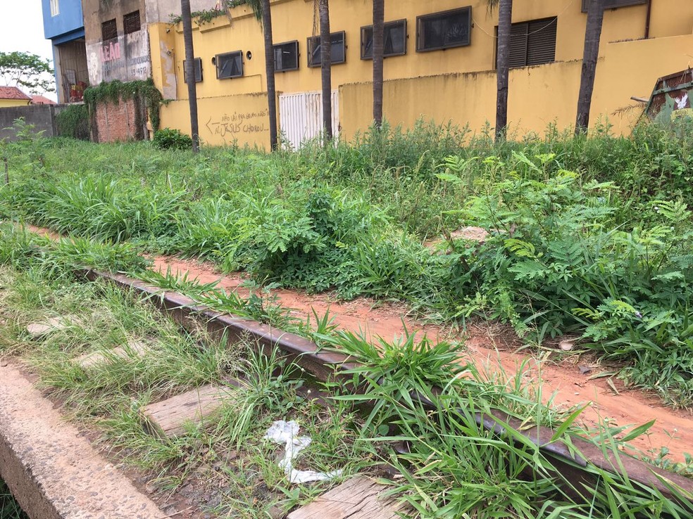 Ferrovia est&aacute; abandonada em Presidente Prudente (Foto: Wellington Roberto/G1)