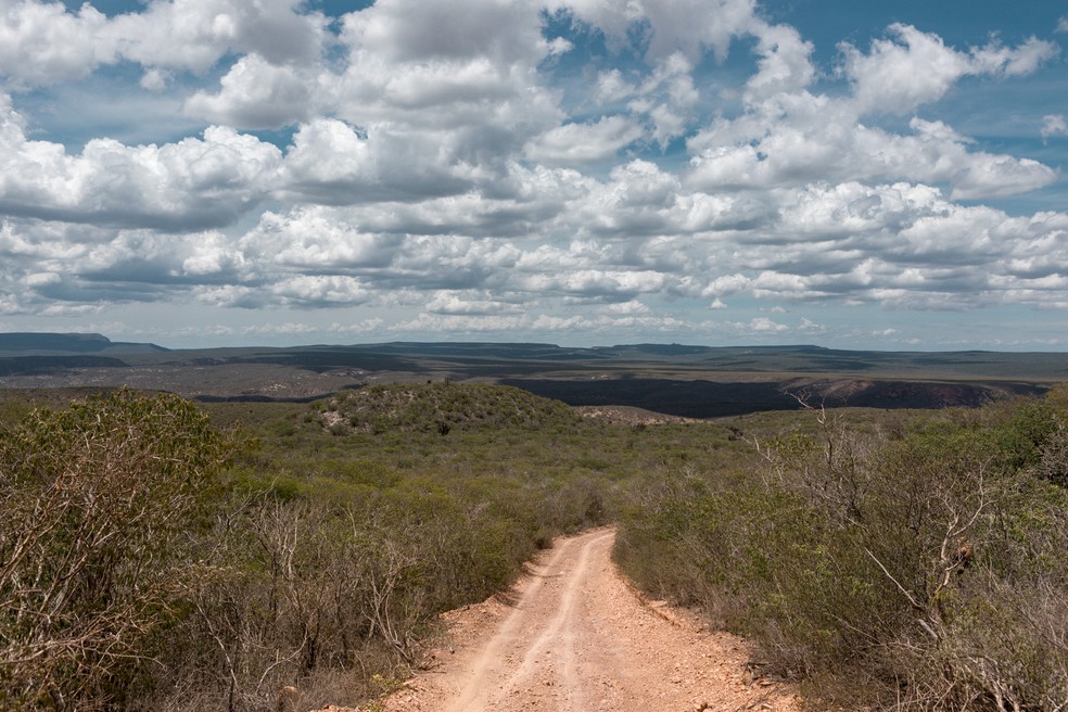 Vista em estrada no Parque Nacional do Boqueirão da Onça, no norte da Bahia — Foto: Marcelo Brandt/G1