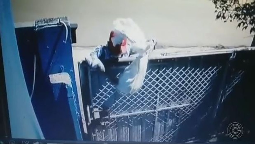 Homem é flagrado jogando saco com gatos em ONg de Itapetininga — Foto: Reprodução/TV TEM